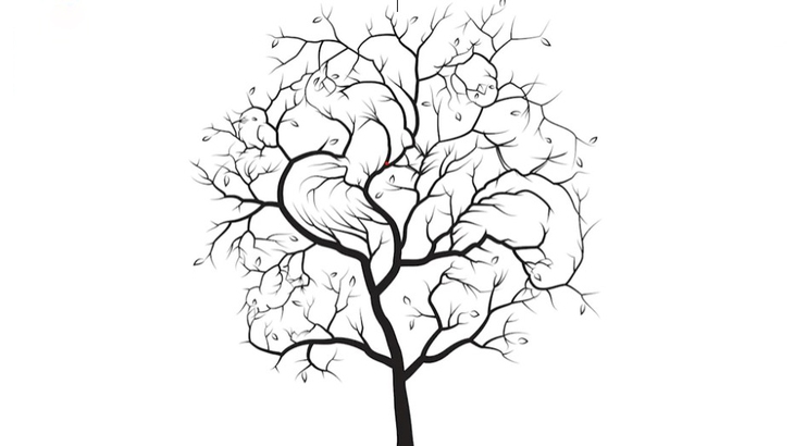 Mắt 10/10 mới thấy 5 con gà ẩn giấu trong hình - Ảnh 1.