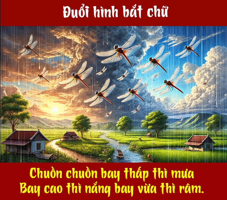 Đây là câu tục ngữ gì? (P8) - Ảnh 1.