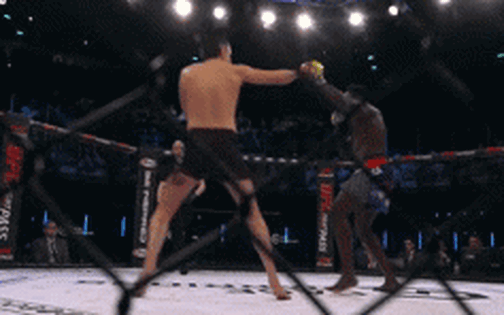 Võ sĩ MMA bị đấm văng khỏi võ đài sau màn ăn mừng lạ đời - Ảnh 2.