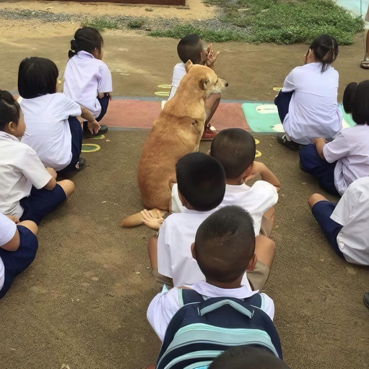 Ảnh vui 24-3: 'Theo tình tình chạy, trốn tình tình theo' đây mà! - Ảnh 3.