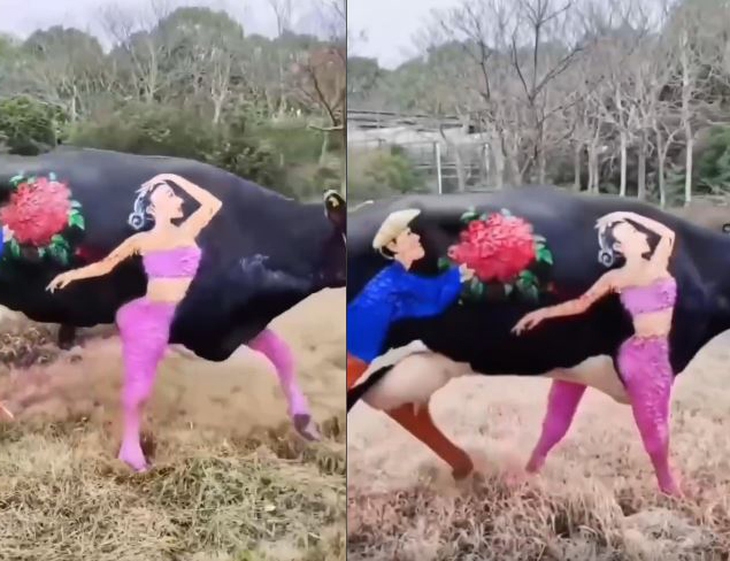 Ảnh vui 24-3: 'Theo tình tình chạy, trốn tình tình theo' đây mà! - Ảnh 1.