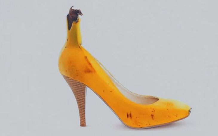 Quiz: Chọn chú chó bạn muốn nuôi để khám phá bản thân - Ảnh 3.