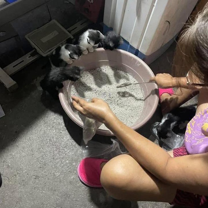 thần đồng - Ảnh 2.