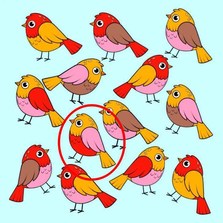 Thử tài tinh mắt - Ảnh 4.