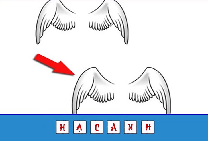 đuổi hình bắt chữ - Ảnh 4.