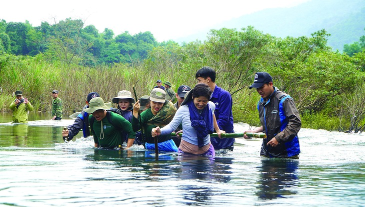  gà lôi  - Ảnh 1.