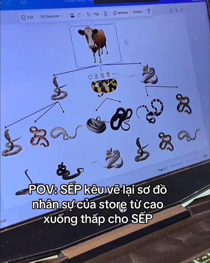 ảnh vui - Ảnh 5.