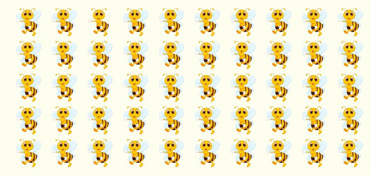 Thử tài tinh mắt - Ảnh 3.