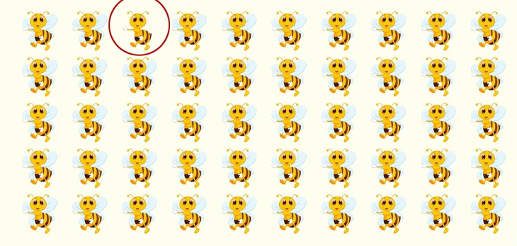 Thử tài tinh mắt - Ảnh 4.