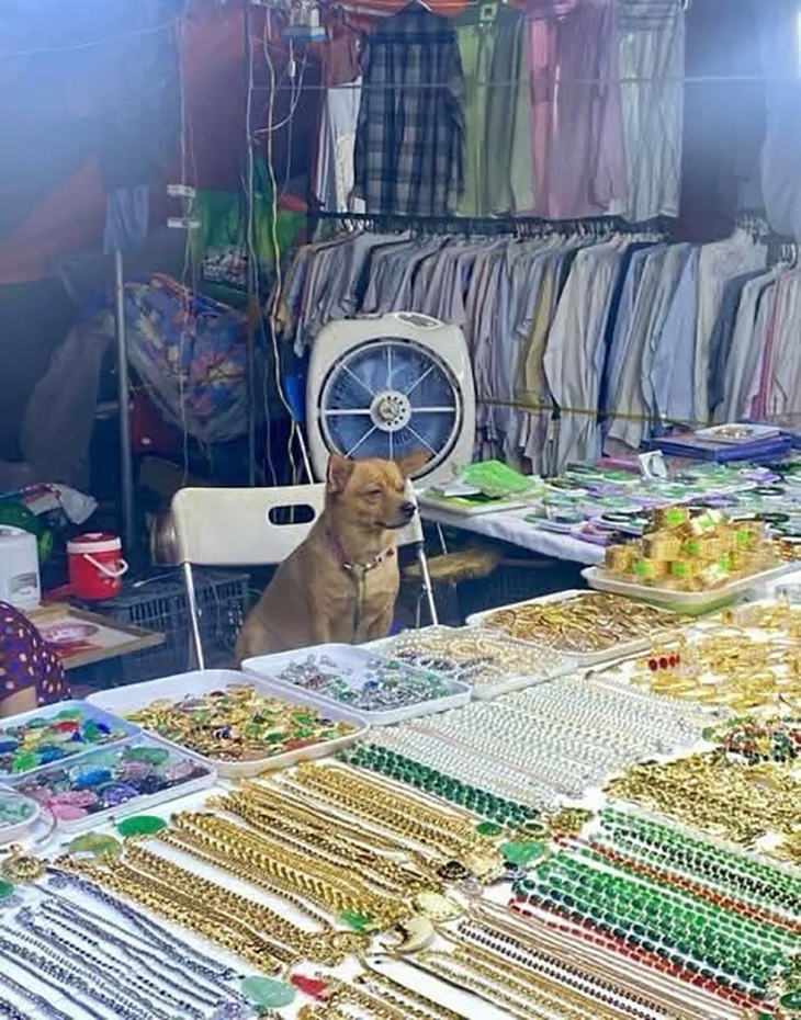 bạn thân - Ảnh 2.