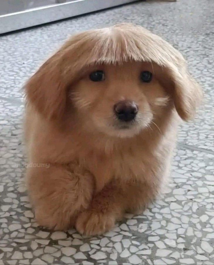 phụ huynh - Ảnh 6.