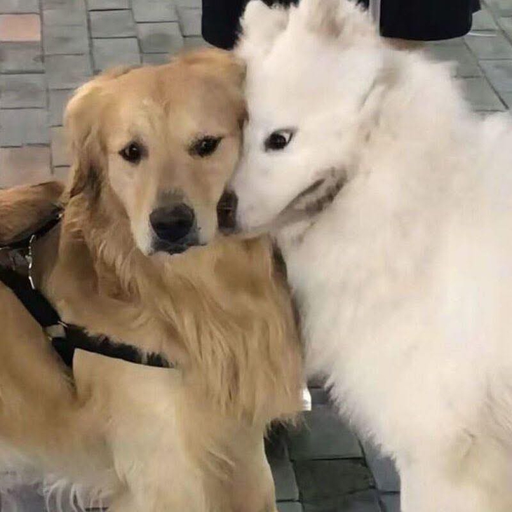 Ảnh vui 3-3: Làm phim hoạt hình Na Tra kể ra cũng dễ! - Ảnh 4.