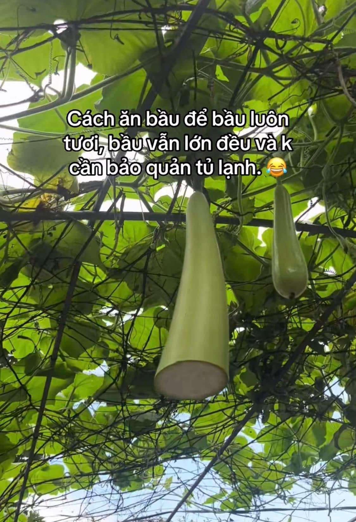 Ảnh vui 3-3: Làm phim hoạt hình Na Tra kể ra cũng dễ! - Ảnh 2.