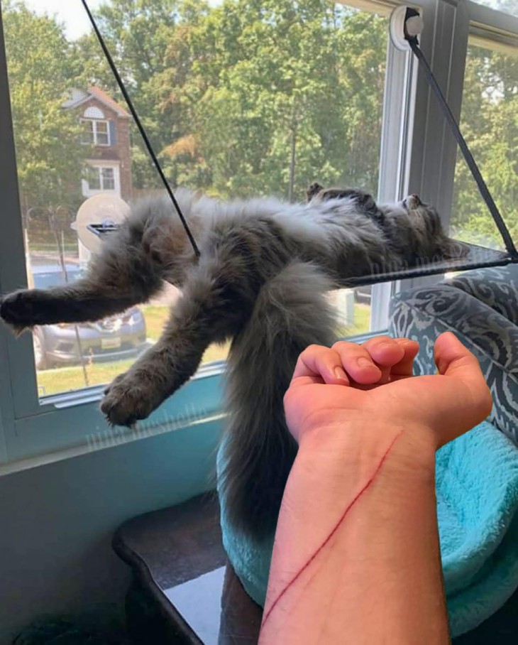 phi công - Ảnh 2.