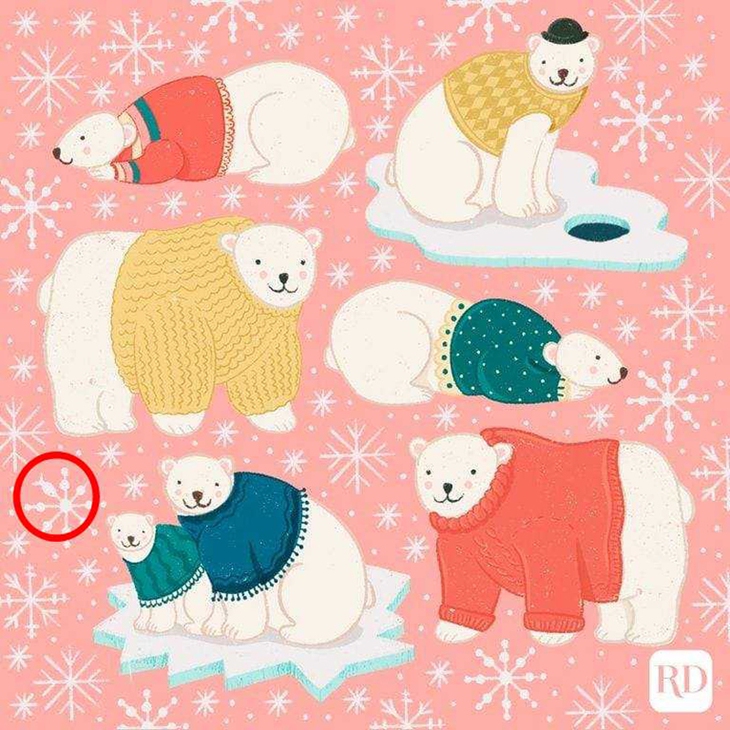 Thử tài tinh mắt - Ảnh 4.