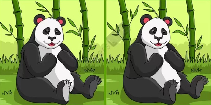 Thử tài tinh mắt - Ảnh 5.