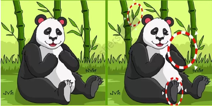 Thử tài tinh mắt - Ảnh 6.