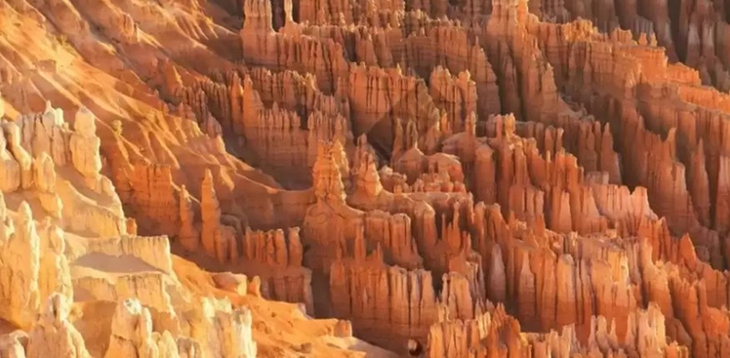 Thử tài tinh mắt - Ảnh 3.