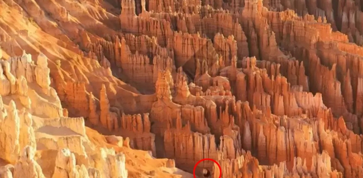 Thử tài tinh mắt - Ảnh 4.