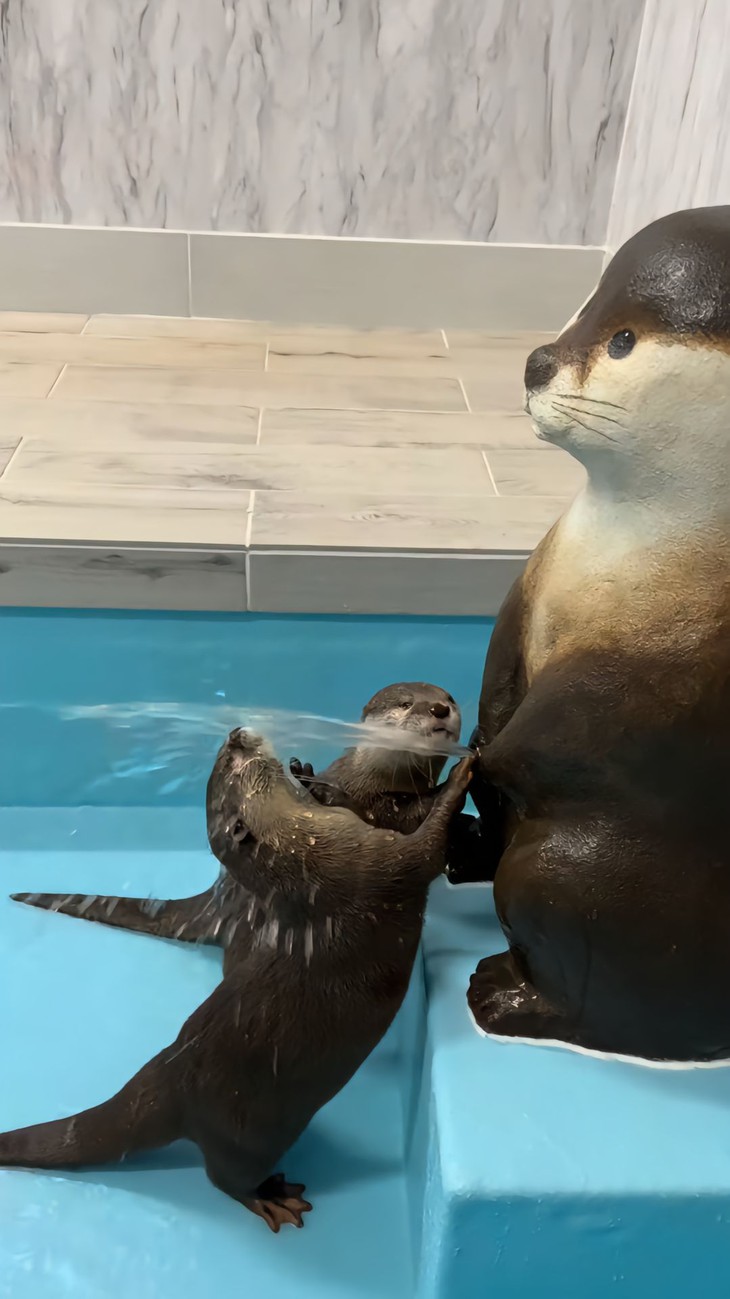 bảo vệ - Ảnh 5.