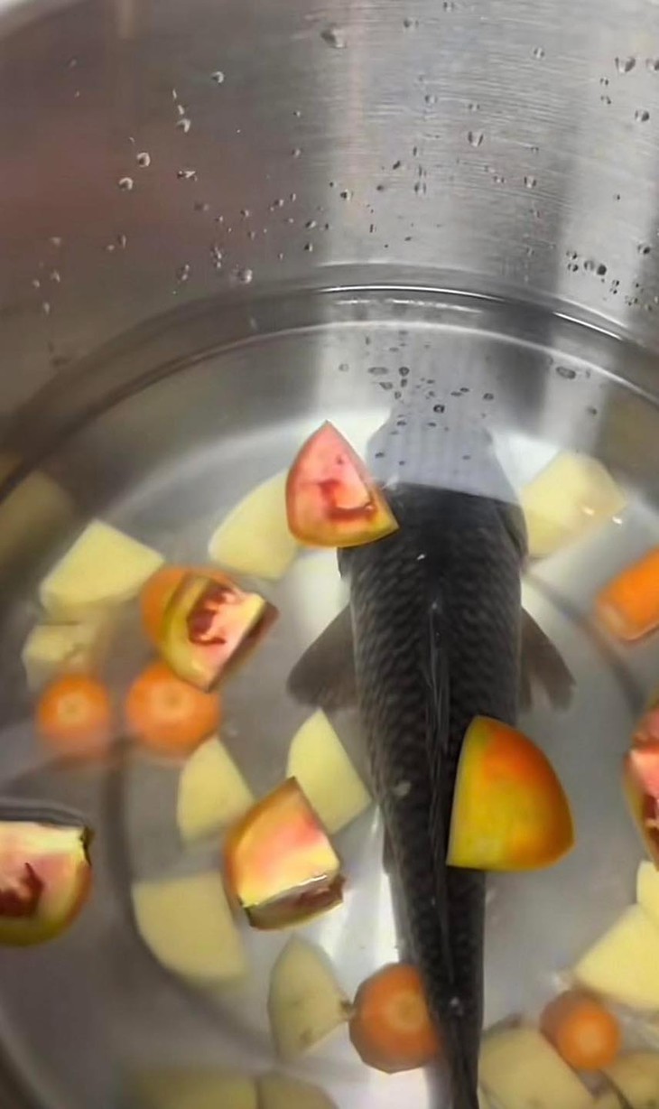 bảo vệ - Ảnh 4.