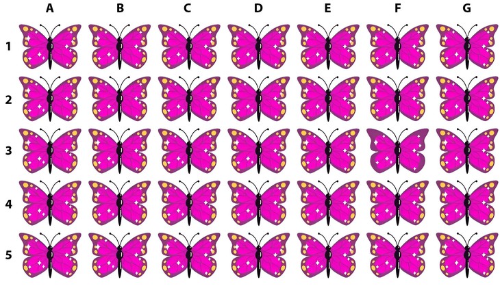 Thử tài tinh mắt: Cậu bé thứ 5 đứng ở đâu? - Ảnh 2.