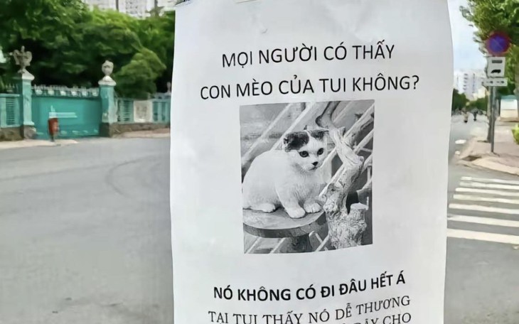 'Thắng cố Việt Nam' lọt top các món hầm ngon nhất Đông Nam Á - Ảnh 5.