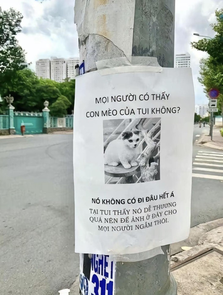 cá tháng tư - Ảnh 1.