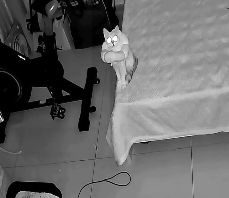 cá tháng tư - Ảnh 4.