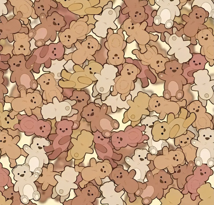 Thử tài tinh mắt - Ảnh 3.