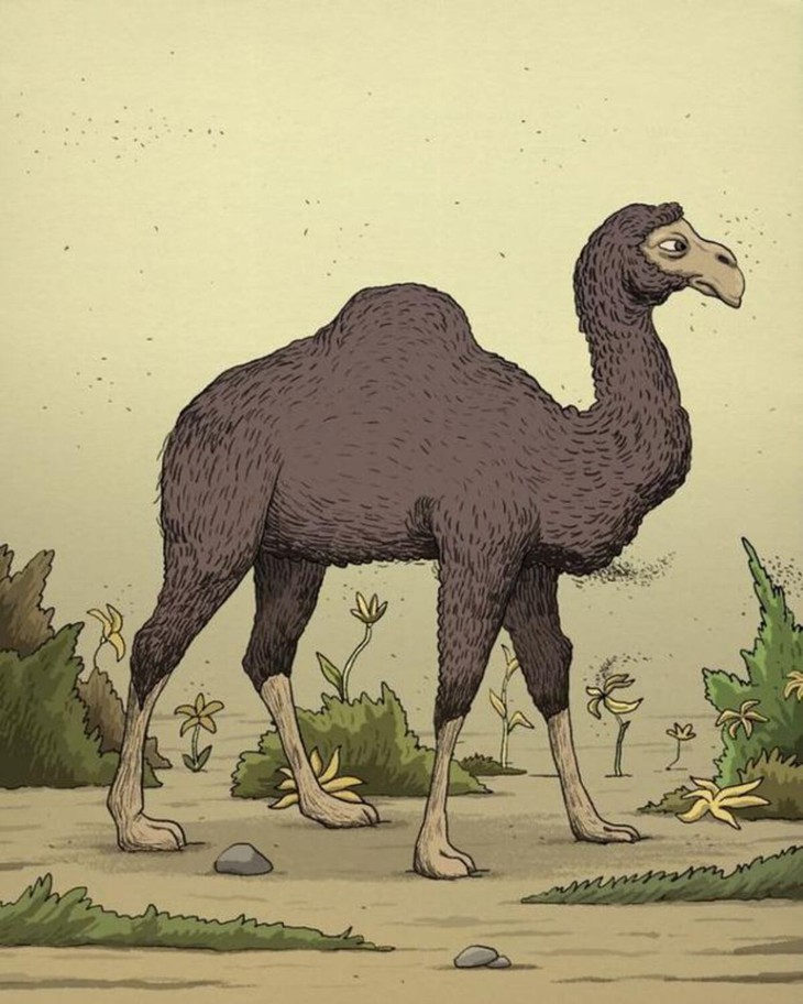 lạc đà - Ảnh 1.