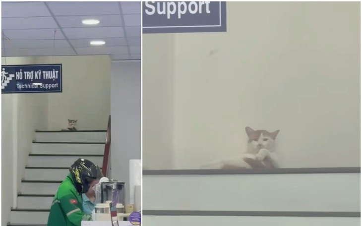 Nữ lao công Thái Lan gây ấn tượng với 'diện mạo mới' - Ảnh 5.