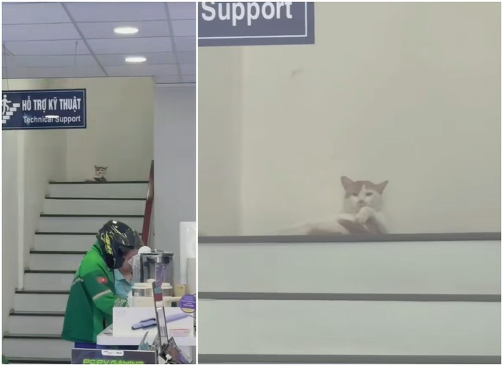 nhân viên - Ảnh 1.