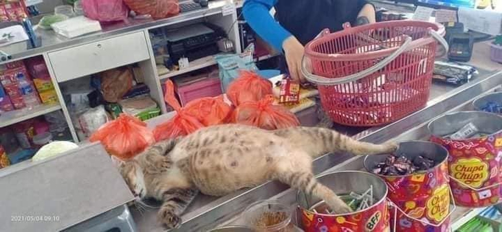 nhân viên - Ảnh 2.