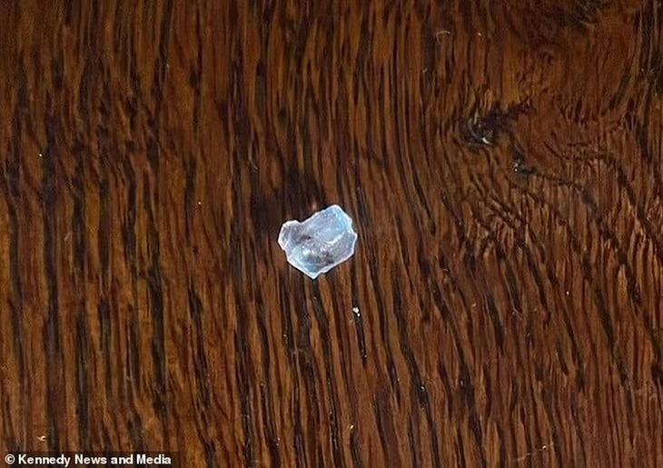 ăn quỵt - Ảnh 1.