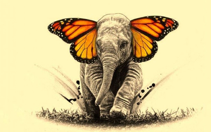 Khám phá tính cách của bạn qua hình dạng bàn chân - Ảnh 4.