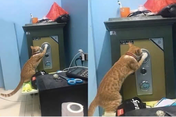 tên trộm - Ảnh 1.