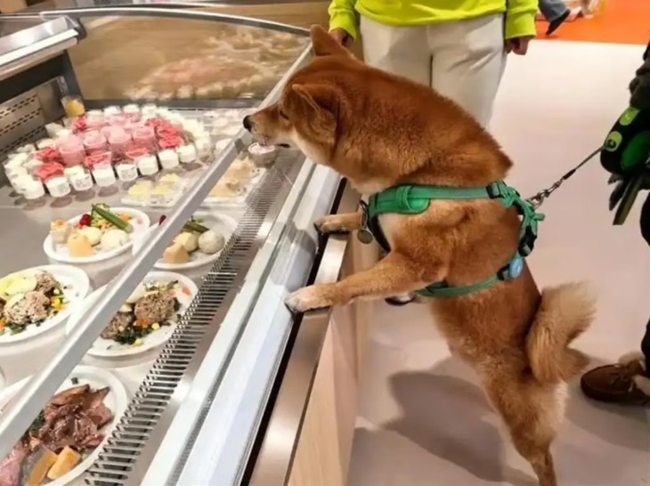 lẩu cay - Ảnh 2.