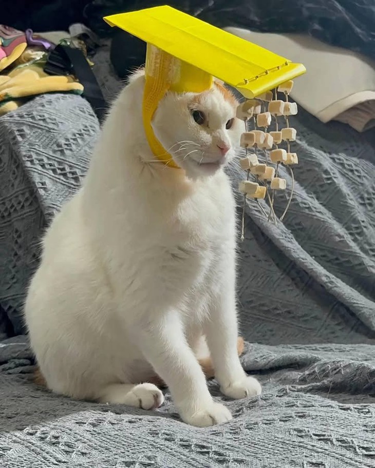 tên trộm - Ảnh 4.