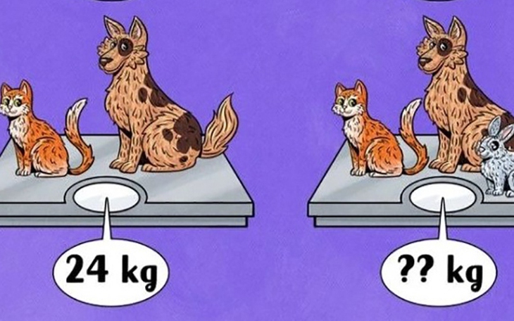 Kiểm tra IQ qua hai câu đố toán học - Ảnh 5.