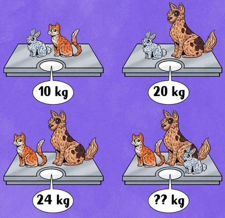 câu đố toán học - Ảnh 1.