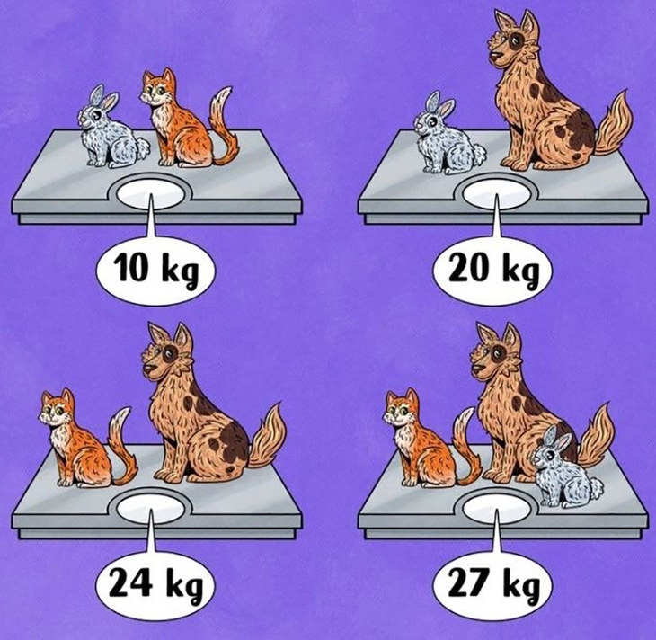 câu đố toán học - Ảnh 2.