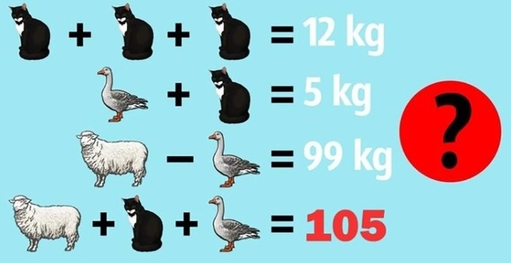 câu đố toán học - Ảnh 4.