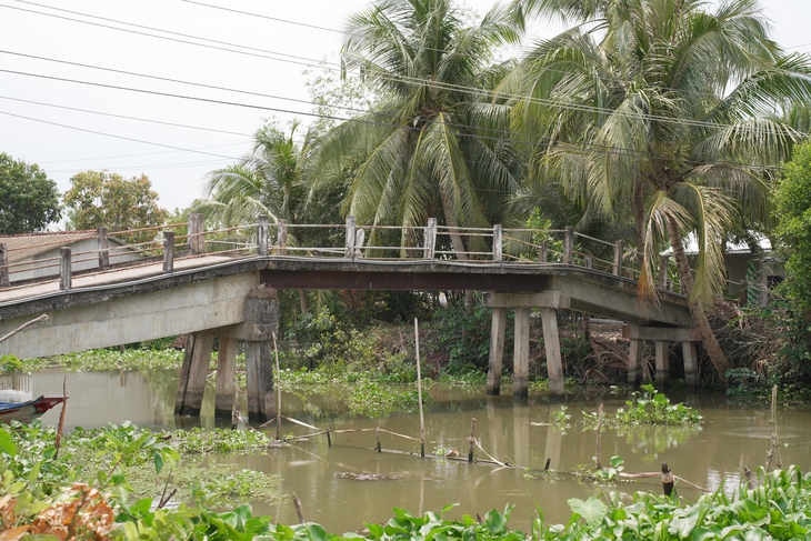 Khi fan không chỉ biết 'đu idol' - Ảnh 3.