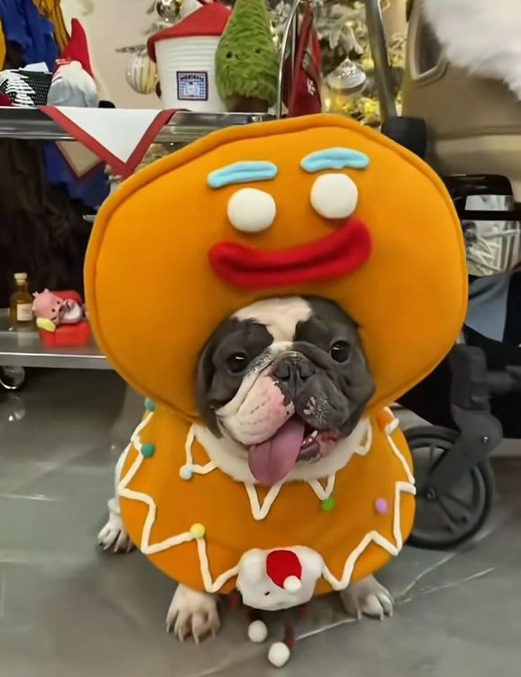 mua hàng online - Ảnh 6.