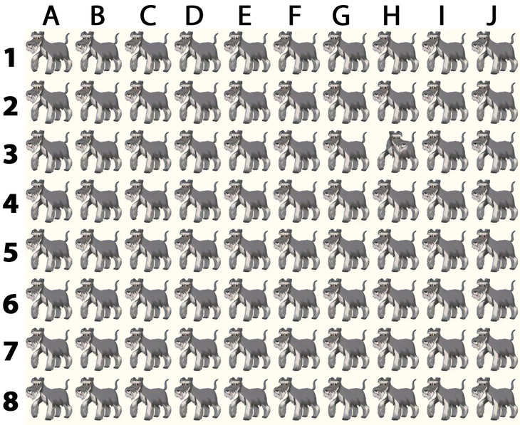 ẩn giấu - Ảnh 3.