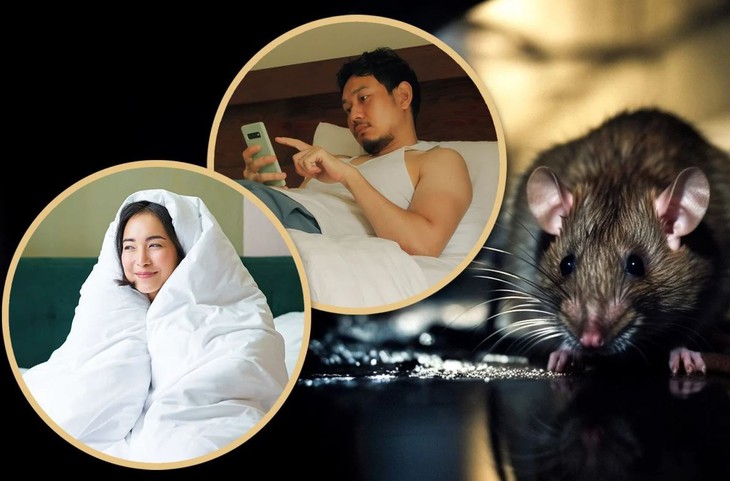 người chuột - Ảnh 1.