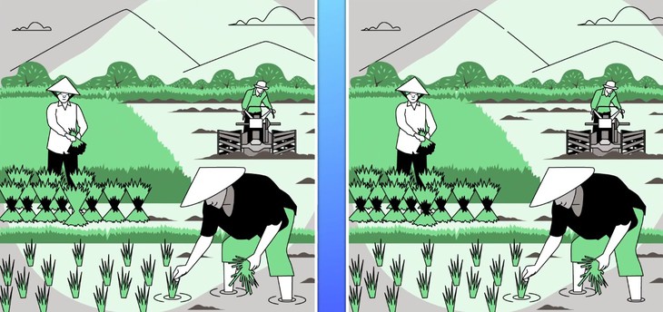 tinh mắt - Ảnh 5.