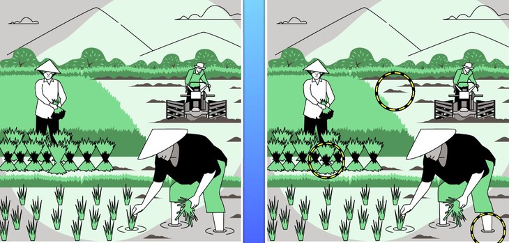 tinh mắt - Ảnh 6.