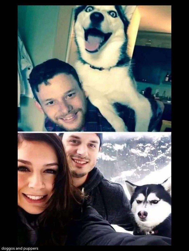 bỏ phố về quê - Ảnh 5.